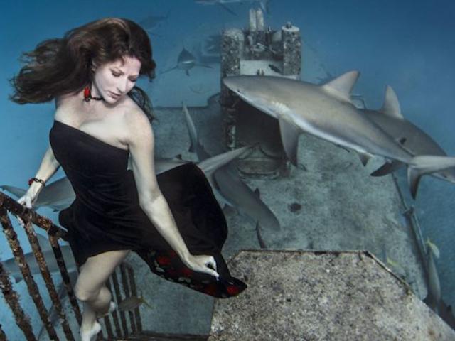 Mẫu nữ xinh đẹp mạo hiểm bên đàn cá mập dưới đáy biển
