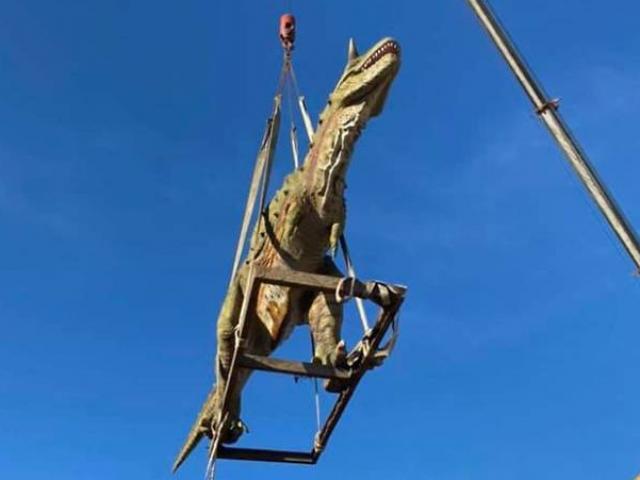 Thị trường - Tiêu dùng - Chi 30 triệu mua thứ con thích, bố mẹ sốc khi sản phẩm ship đến... như "quái vật"