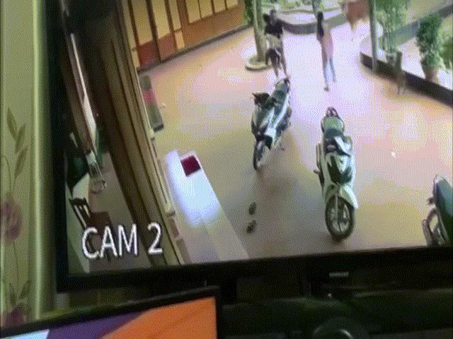 Bạn trẻ - Cuộc sống - Chết cười xem cảnh hai bố con bị bò "truy sát" ôm nhau chạy