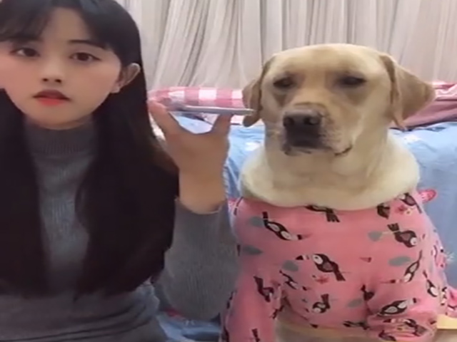 Video Clip Cười - Bà chị này còn nguy hiểm hơn cả bà chị google