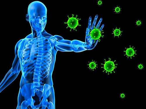 Hệ miễn dịch giúp cơ thể chống đỡ bệnh tật. Nguyên nhân của suy giảm miễn dịch