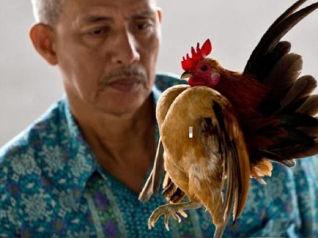 Thị trường - Tiêu dùng - Loài "ngực khủng", dáng đi lạ đời... đắt ngang xe máy vẫn hút dân chơi