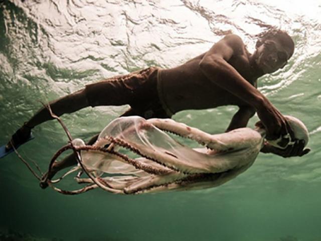 Media - Bộ tộc kỳ lạ lặn dưới nước hơn 10 phút không cần thở