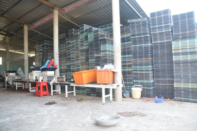 Một cơ sở cấy lúa thuê sử dụng hàng trăm ngàn khay mạ kèm theo dàn gieo mạ Yanmar SYS-800C