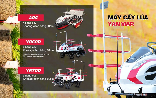 Vụ mùa cấy sôi động tại Đồng bằng sông Cửu Long - 6