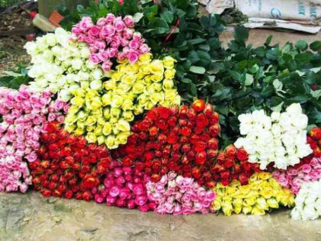 Thị trường - Tiêu dùng - Nóng tuần qua: Bia tồn không bán được, hoa 8/3 giá rẻ vẫn ế ẩm