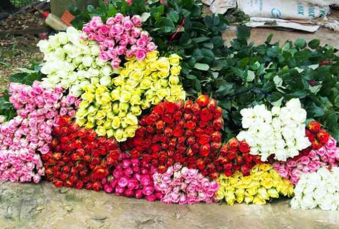 Hoa ngày 8/3 giảm mạnh vẫn ế ẩm.