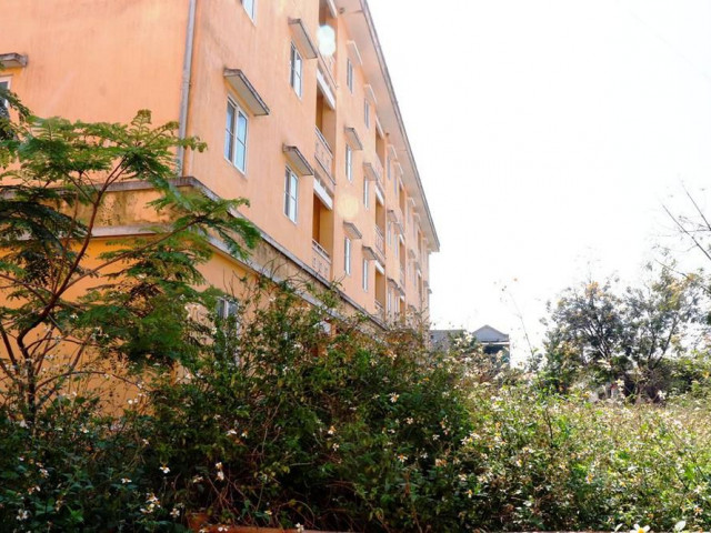 Kinh doanh - Chung cư "chục tỷ" xây gần 10 năm ở Huế không biết làm gì, cây dại phủ như rừng