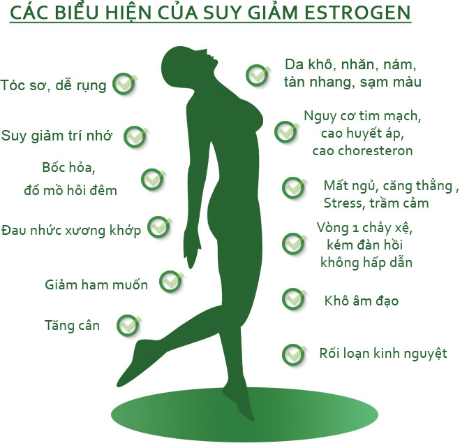 Các biểu hiện của việc suy giảm nội tiết tố Estrogen.