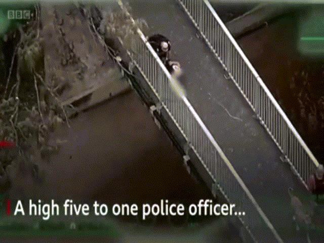 Phi thường - kỳ quặc - Khống chế kẻ trộm khi đang dắt chó đi dạo, còn tranh thủ đập tay với cảnh sát