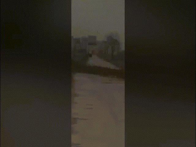 Phi thường - kỳ quặc - Hàng nghìn chim sẻ "chặn đường" vào làng ở Trung Quốc