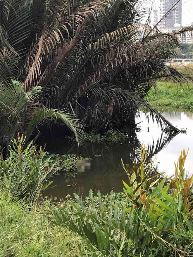 Phát hiện 2 thi thể trôi dạt trên sông Sài Gòn - 1