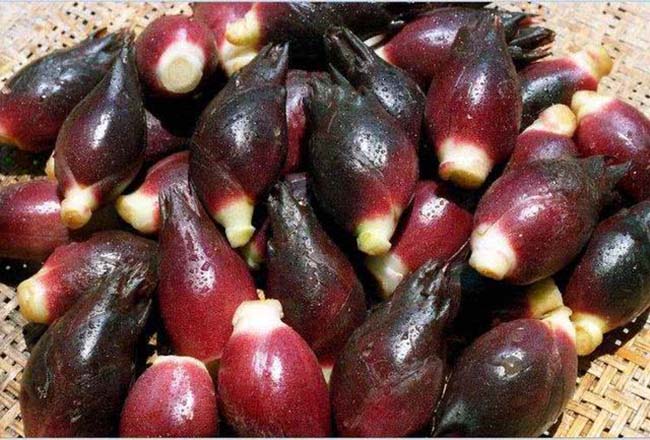 Loại rau được người Nhật gọi là “nhâm sâm châu Á&#34; nhưng có giá rẻ như cho ở TQ - 7