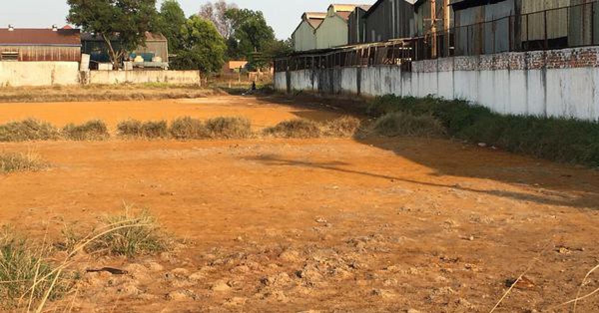 Tin tức trong ngày - CLIP: Kỳ lạ cánh đồng vàng như gạch, người dân không dám xuống ở Hóc Môn