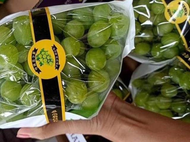 Thị trường - Tiêu dùng - 6 điểm khác biệt của nho sữa Trung Quốc và Nhật Bản người bán không bao giờ tiết lộ