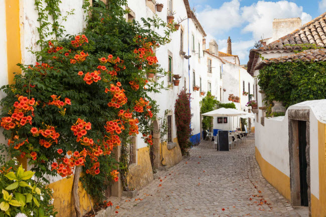 Thành phố Lisbon là điểm đến du khách không thể bỏ qua khi tới Bồ Đào Nha. Bạn cũng có thể di chuyển dễ dàng và nhanh chóng tới những thị trấn xinh đẹp khác hay khám phá thiên nhiên ở Algarve, vì quốc gia này có diện tích tương đối nhỏ.

