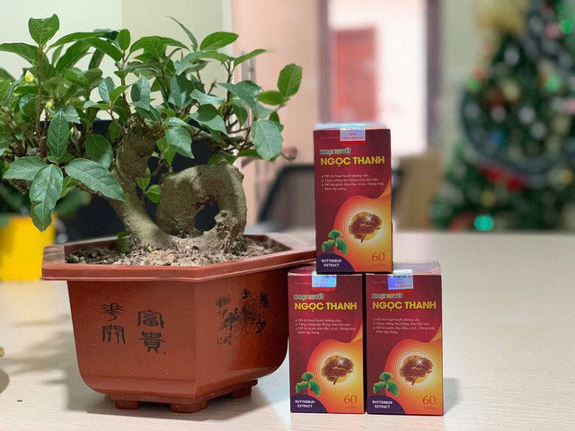 Bộ TPBVSK Hoạt Huyết Ngọc Thanh - giải pháp hỗ trợ điều trị thiếu máu lên não, đau đầu, tiền đình hiệu quả