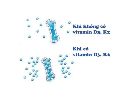 Vitamin K2 giúp trẻ “bứt phá” chiều cao, răng đẹp tự nhiên - 3
