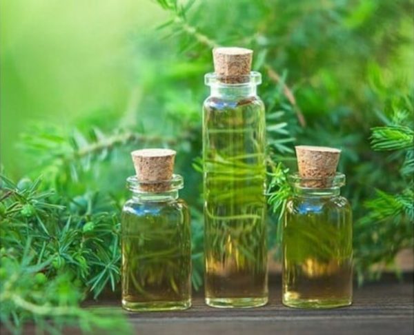 Chấm thứ này lên mặt để qua đêm, da mụn sẽ lành, mịn nhanh chóng - 1
