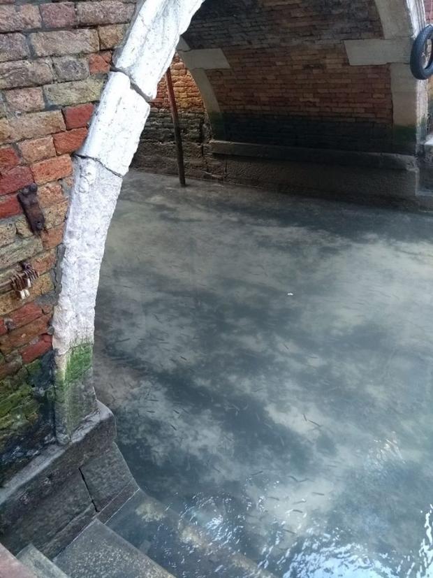 Những kênh đào tại Venice chuyển màu nước trong vắt giữa dịch Covid-19 (Ảnh: Facebook)