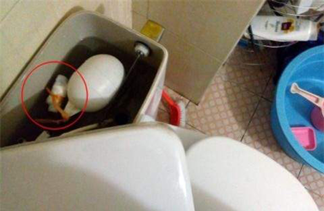 Người giấu đã cao tay mà người tìm ra còn cao siêu hơn.