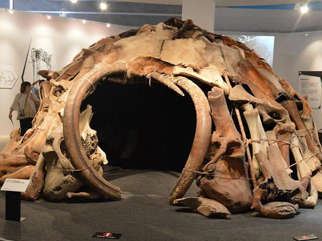 Bí ẩn vòng tròn xương voi ma mút mới được phát hiện ở Nga