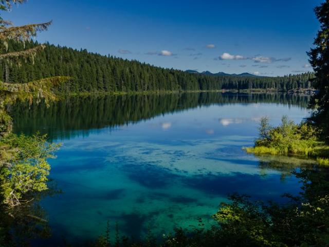 Du lịch - Khám phá hồ nước ẩn chứa cả khu rừng cổ xưa