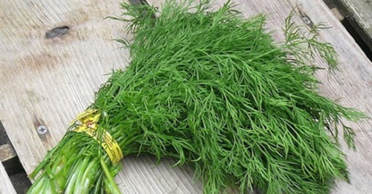 Sức khỏe đời sống - Loại rau giúp giảm lượng đường trong máu và chống ung thư