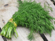 Sức khỏe đời sống - Loại rau giúp giảm lượng đường trong máu và chống ung thư