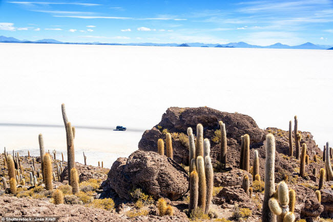 Phong cảnh đẹp mê hồn của cánh đồng muối lớn nhất thế giới, Salar de Uyuni, ở Bolivia. Khu vực rộng 12.000 m này từng là một hồ nước rộng lớn cách đây hàng triệu năm.
