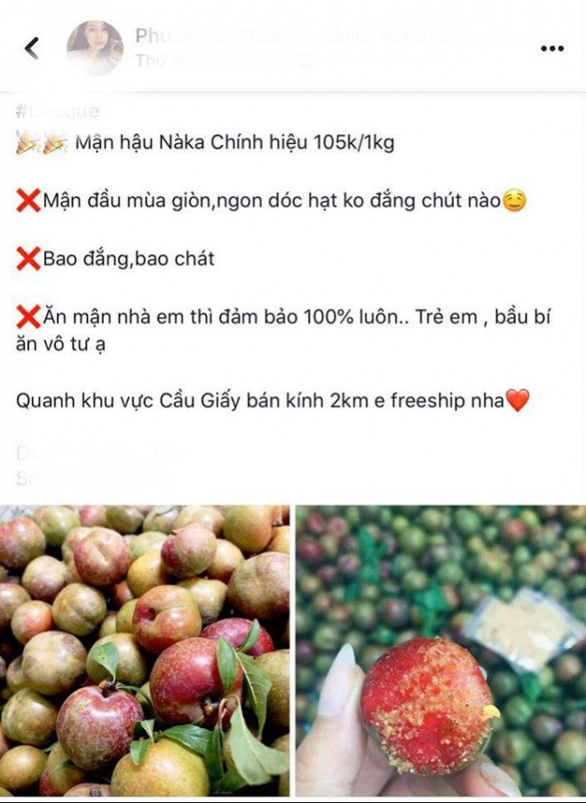 Mận đầu mùa có nhiều loại, với loại quả nhỏ, vẫn còn xanh, ương thì giá sẽ rẻ hơn&nbsp;