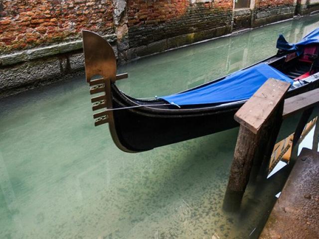 Du lịch - Các dòng kênh ở Venice sạch chưa từng thấy sau khi bị phong tỏa
