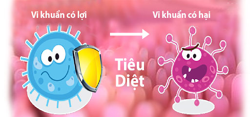 Tăng hệ miễn dịch – “Lá chắn thép” bảo vệ cơ thể trong mùa dịch - 2