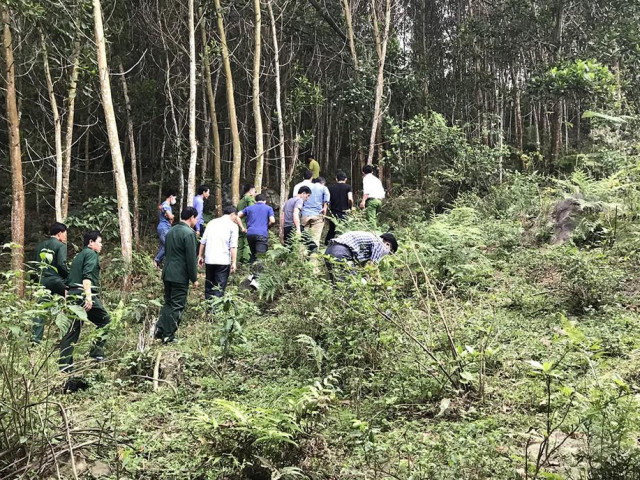 Pháp luật - Cảnh sát tung quân vây rừng truy tìm nhóm sát hại thượng úy công an