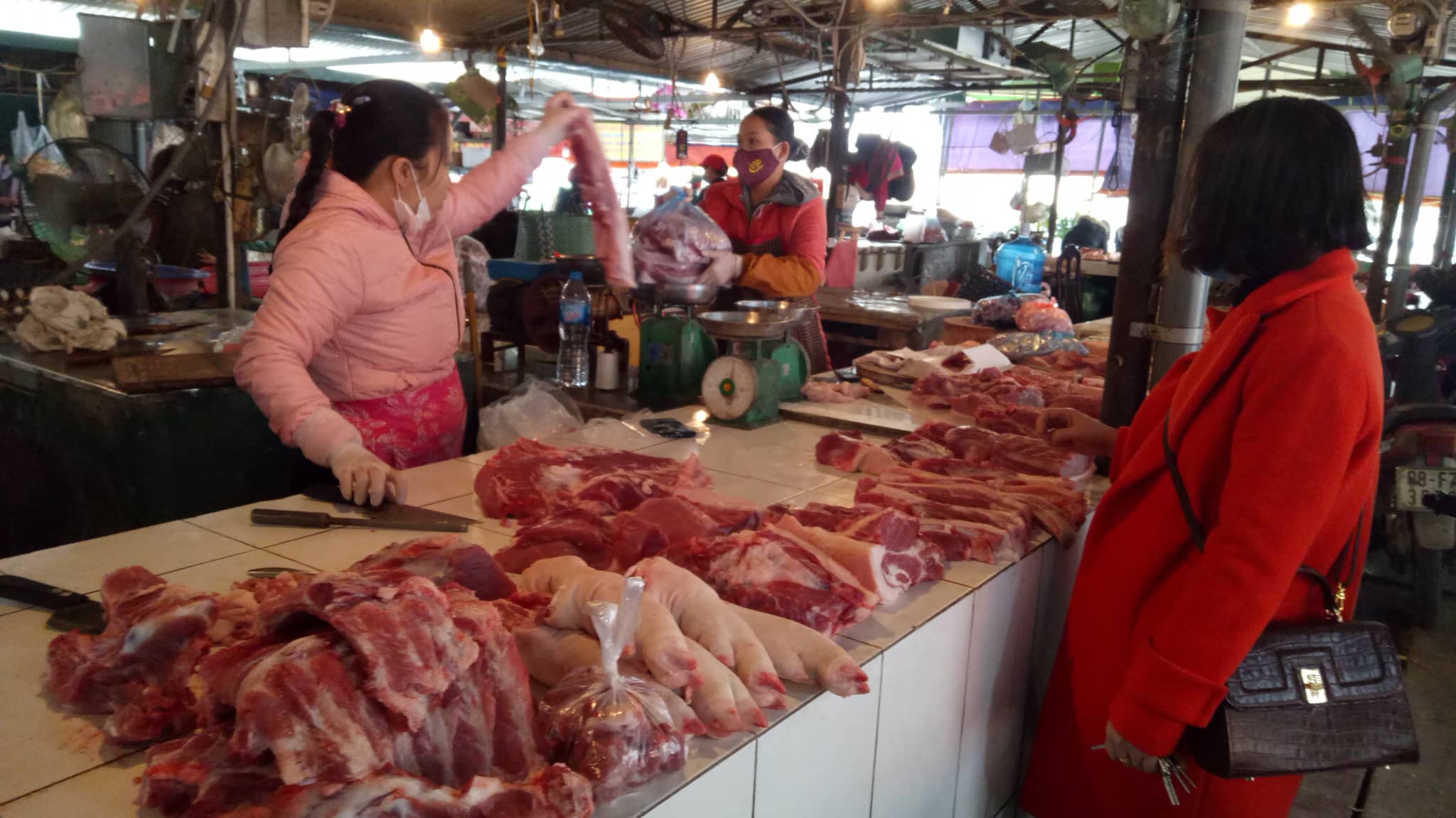 Giá thịt lợn tại các chợ dân sinh vẫn khá cao, mặc dù trước đó Chính phủ đã chỉ đạo giảm giá lợn hơi