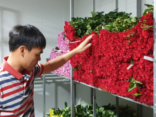 Tiêu thụ hoa giảm nên số lượng hoa phải trữ tại kho lạnh khá nhiều