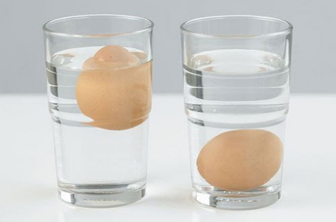 Trứng chìm là loại mới còn nổi lên mặt nước là loại trứng đã để lâu.