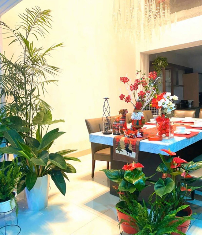 Bên trong căn nhà cũng ngập tràn cây
xanh, hoa tươi