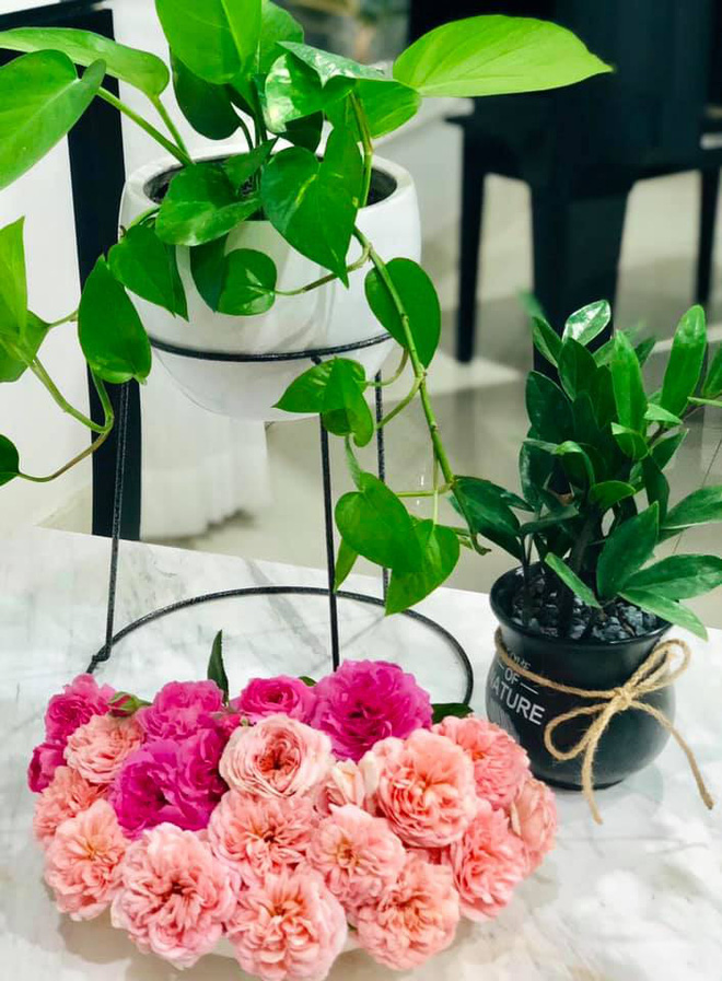 Những bông hoa hồng
được hái từ chính vườn nhà để trang trí trên bàn