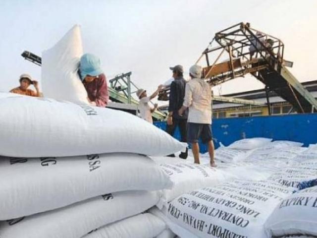 Thị trường - Tiêu dùng - Thủ tướng yêu cầu kiểm tra nguồn cung gạo giữa bối cảnh dịch Covid-19 bùng phát