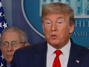 Thế giới - Tổng giám đốc WHO đánh giá về cách chống dịch Covid-19 của ông Trump