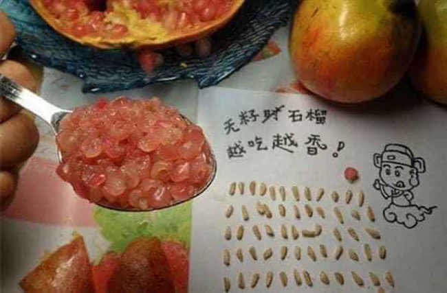 Rảnh rỗi sẽ khiến con người ta sáng tạo hơn.