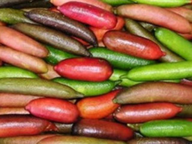 Thị trường - Tiêu dùng - Loại quả "đẻ trứng" kỳ lạ, chỉ to bằng ngón tay mà ùn ùn người mua