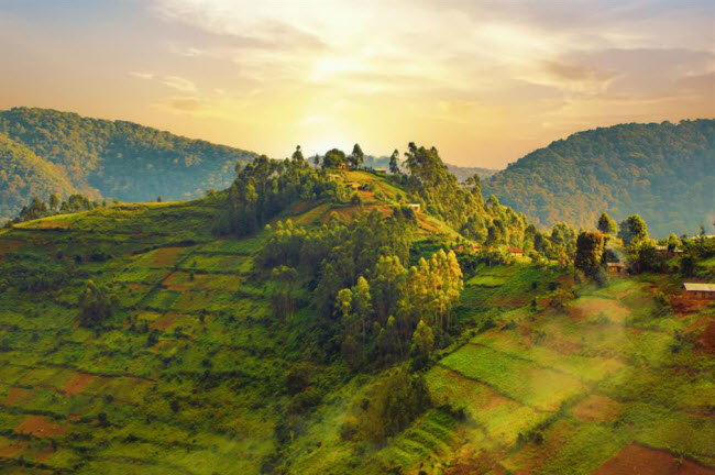 Việt Nam vào top địa điểm du lịch tăng trưởng nhanh nhất thế giới - 5