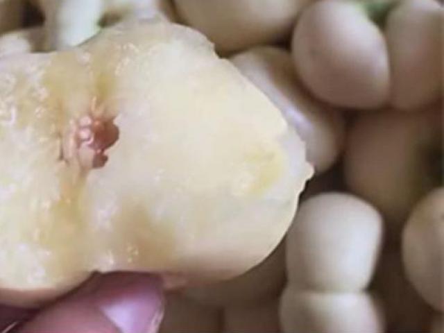 Thị trường - Tiêu dùng - Loại quả nhìn như... bánh rán, cứ bán là thu ngay hàng trăm nghìn/kg