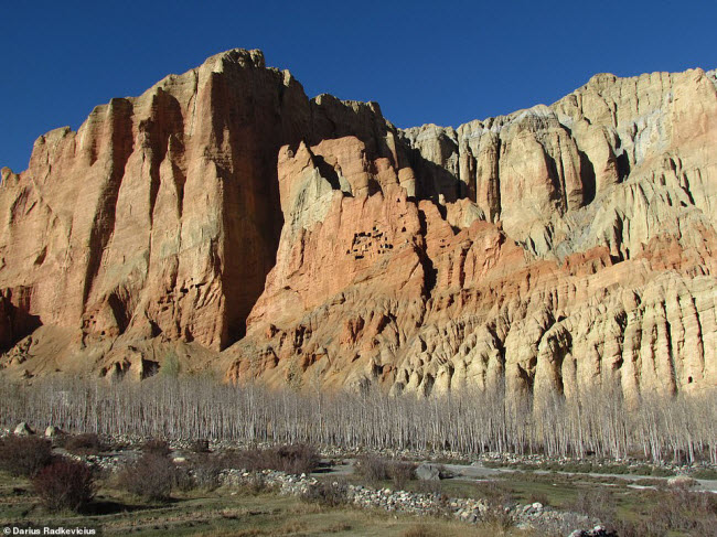 Những hàng cây cằn cỗi mọc dọc dãy núi màu đỏ được Darius ghi lại tại ngôi làng Dhakmar.
