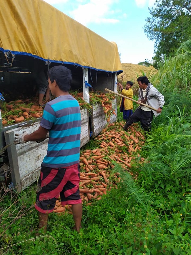 Đây là hình ảnh của cư dân mạng Jaren Lamhi ghi lại hình ảnh nông dân ở Tinoc, Ifugao, Philippines phải đổ bỏ cà rốt trong xe tải do "cung vượt cầu" giữa lúc nước này phong tỏa toàn đảo Luzon.