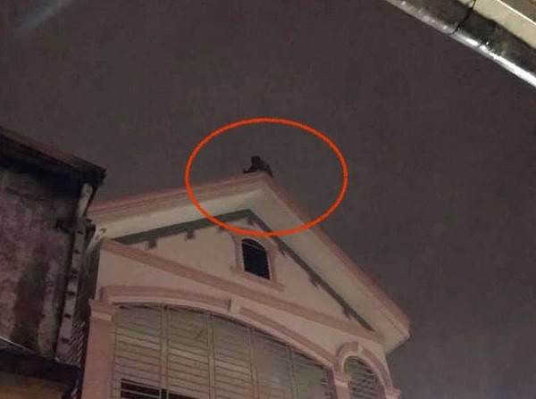 Nam thanh niên trèo lên khu vực nóc nhà định tự tử