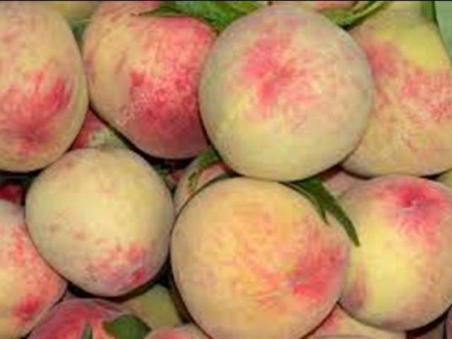 Thị trường - Tiêu dùng - Không học đại học đi trồng thứ quả có tên ngọt ngào, 9x thu về hàng trăm triệu/năm