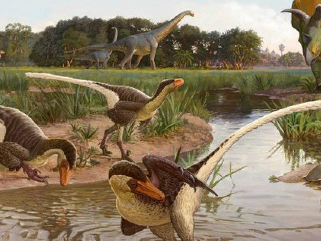 Du lịch - "Quái vật" ăn thịt nửa vịt, nửa thằn lằn hiện ra trong mộ đá 67 triệu năm